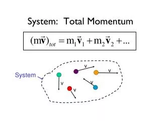 System: Total Momentum