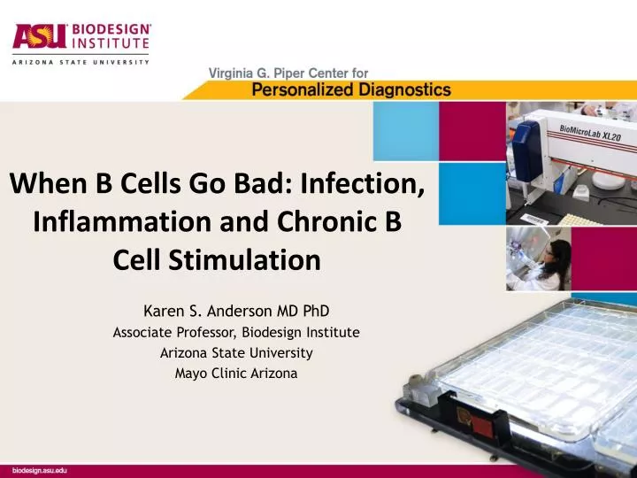 when b cells go bad infection inflammation and chronic b cell stimulation