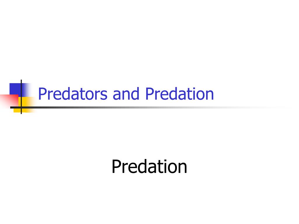 PPT - Predators and Predation PowerPoint Presentation, free download ...