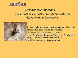 ara as