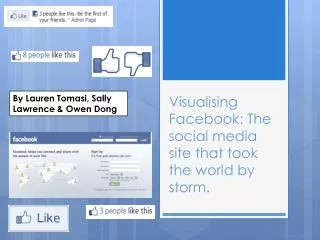 Visualising Facebook: The s ocial m edia site that took the world by storm.