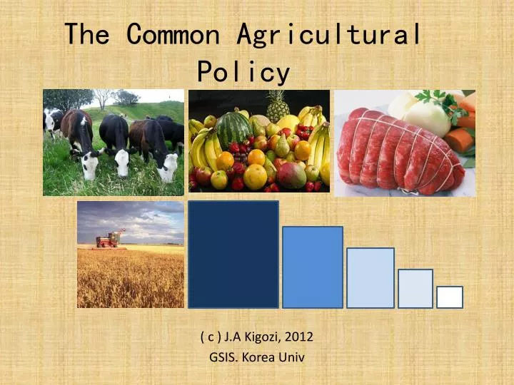 the common agricultural policy