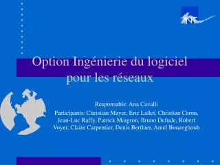 option ing nierie du logiciel pour les r seaux