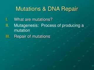Mutations &amp; DNA Repair