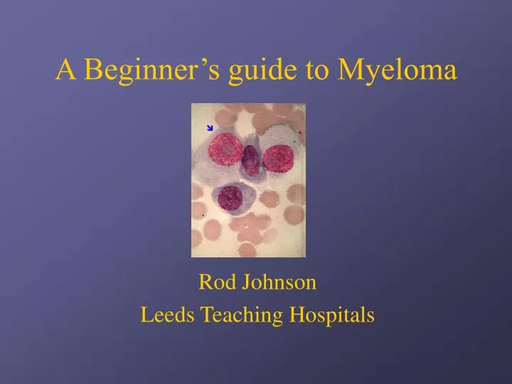 a beginner s guide to myeloma