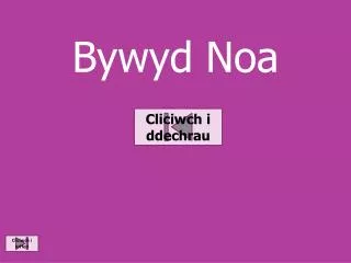 bywyd noa