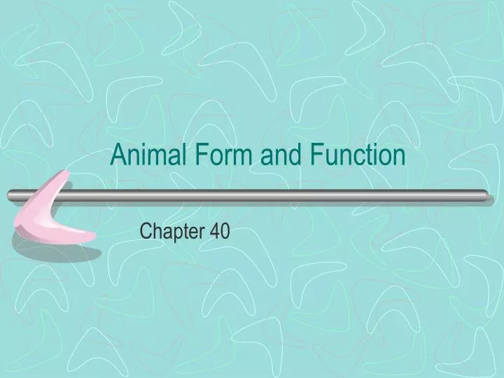 animal form and function