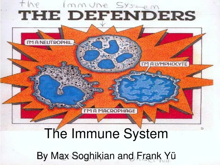 the immune system