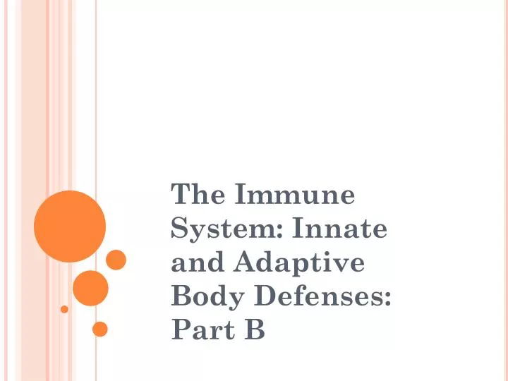 the immune system innate and adaptive body defenses part b