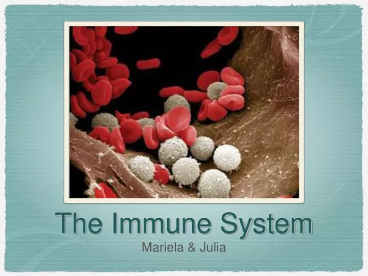 the immune system