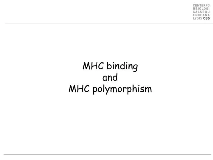 mhc binding and mhc polymorphism