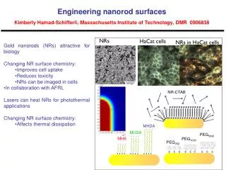 Gold nanorods (NRs) attractive for biology Changing NR surface chemistry: Improves cell uptake