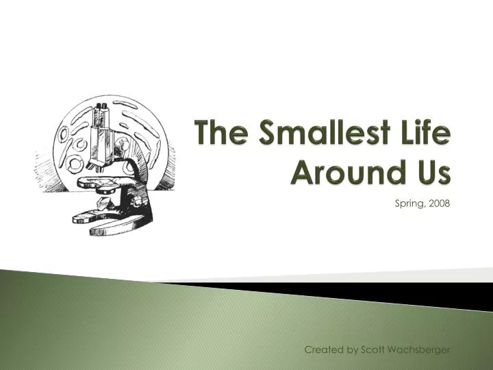 the smallest life around us