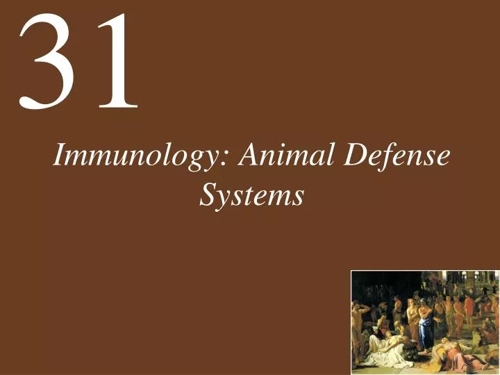 immunology animal defense systems