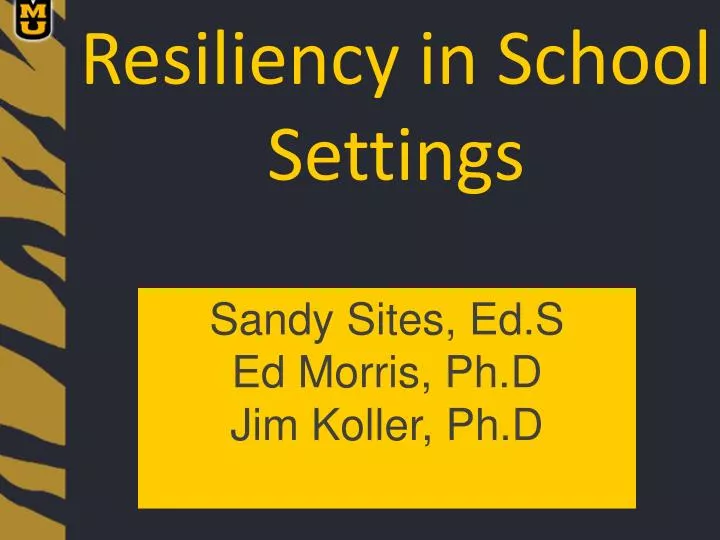 resiliency in school settings
