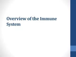 overview of the immune system