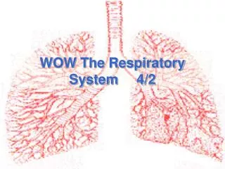 WOW The Respiratory System	4/2