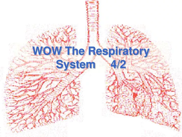wow the respiratory system 4 2