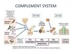 PPT - The Complement System PowerPoint Presentation, free download - ID ...