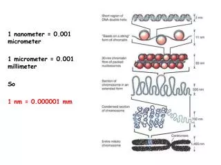 1 nanometer = 0.001 micrometer 1 micrometer = 0.001 millimeter So 1 nm = 0.000001 mm