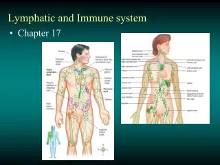 Lymphatic and Immune system