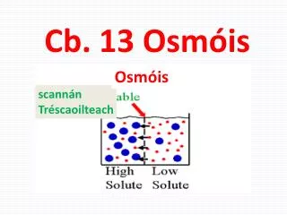 cb 13 osm is