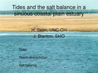 Tides and the salt balance in a sinuous coastal plain estuary