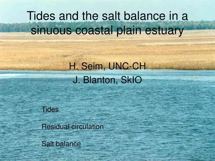 tides and the salt balance in a sinuous coastal plain estuary