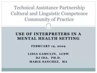USE OF INTERPRETERS IN A MENTAL HEALTH SETTING FEBRUARY 19, 2009 LIDIA GAMULIN, LCSW