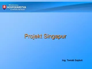 projekt singapur