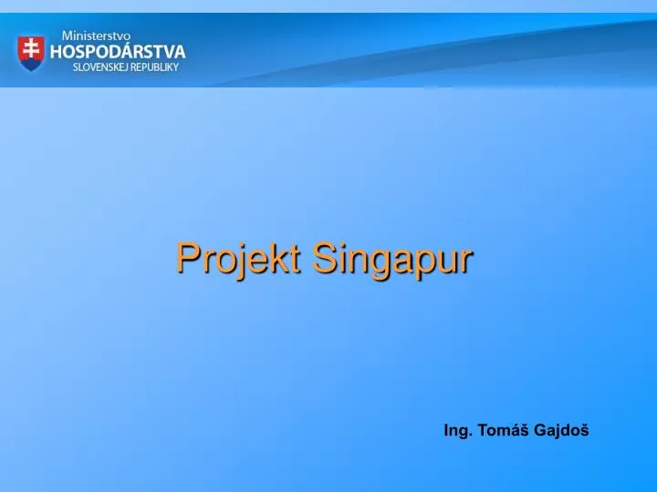 projekt singapur