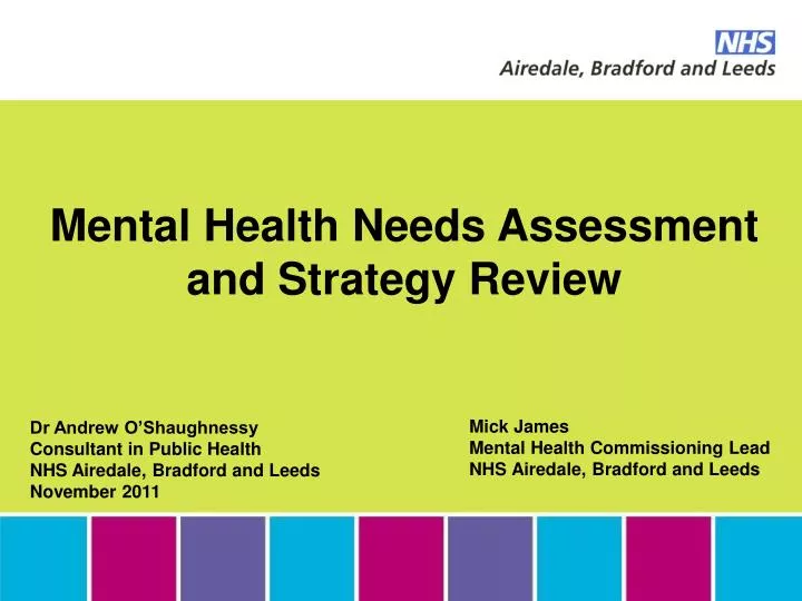mental health needs assessment and strategy review