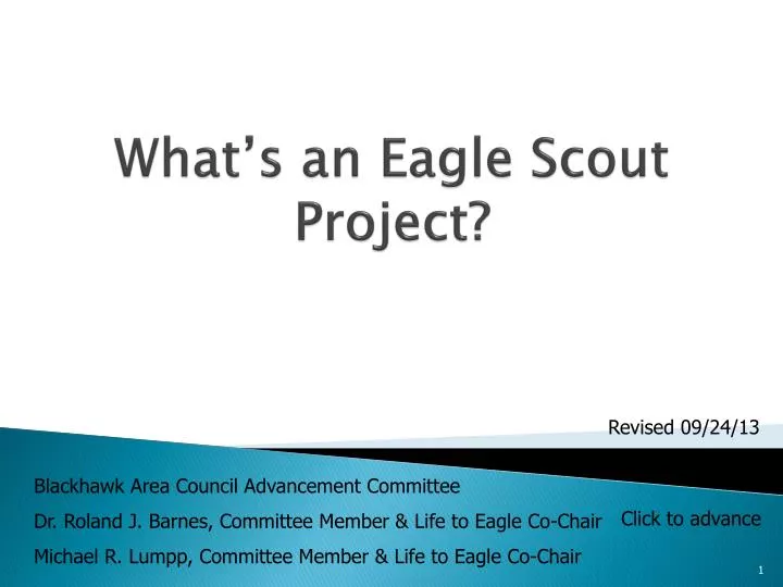 what s an eagle scout project