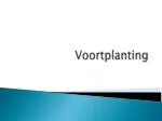Voortplanting - slide 1