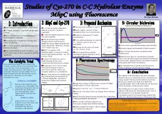 E. coli uses an aerobic degradative pathway for fission of aromatic compounds.