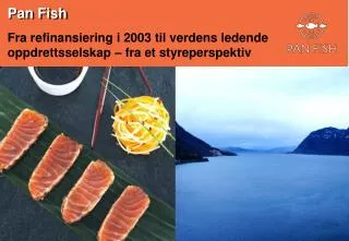 fra refinansiering i 2003 til verdens ledende oppdrettsselskap fra et styreperspektiv