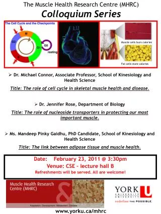 The Muscle Health Research Centre (MHRC) Colloquium Series