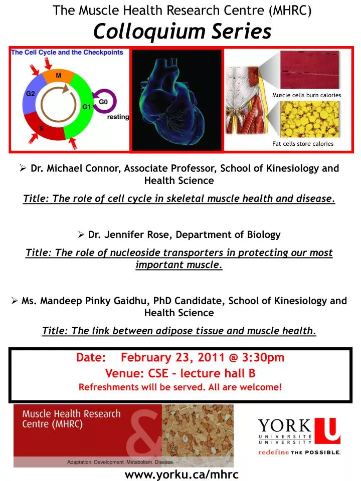 the muscle health research centre mhrc colloquium series