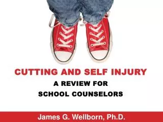 Cutting and Self Injury A Review For School Counselors