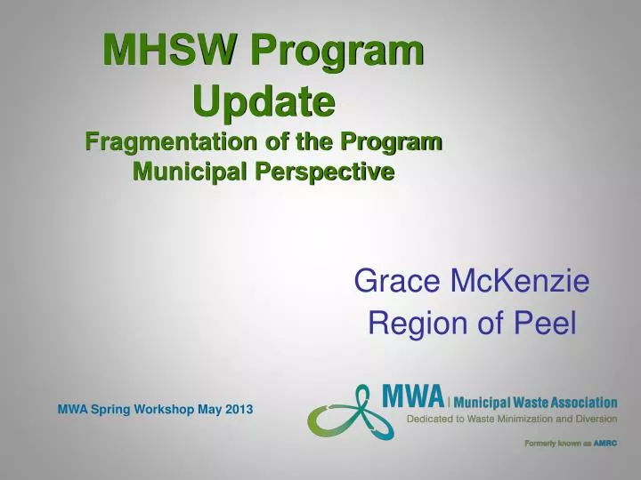 mhsw program update fragmentation of the program municipal perspective