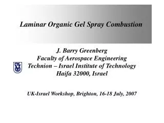 Laminar Organic Gel Spray Combustion