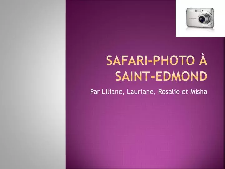 safari photo saint edmond