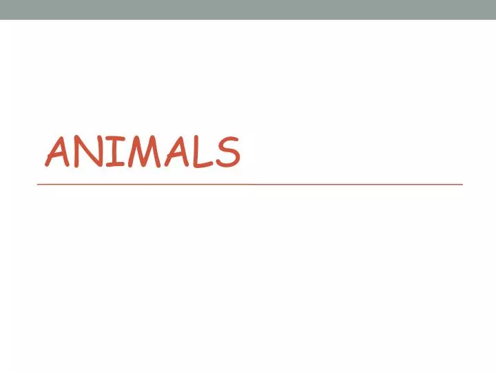 animals