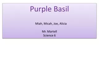 Purple Basil Miah , Micah, Joe, Alicia Mr. Martell Science 6
