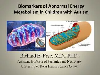 Biomarkers of Abnormal Energy Metabolism in Children with Autism