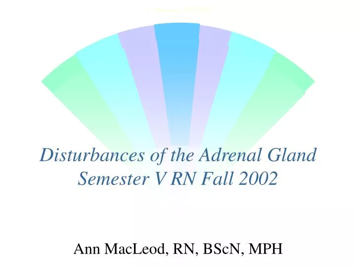 disturbances of the adrenal gland semester v rn fall 2002