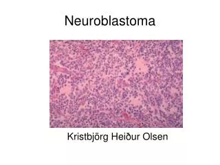 kristbj rg hei ur olsen