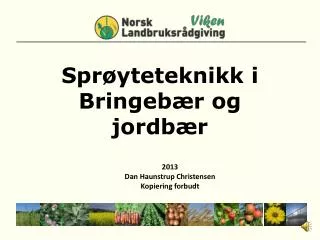 spr yteteknikk i bringeb r og jordb r