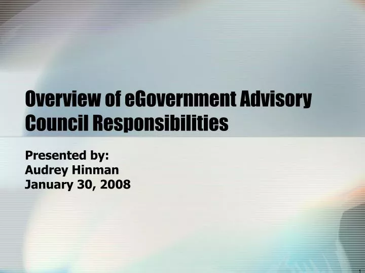 overview of egovernment advisory council responsibilities