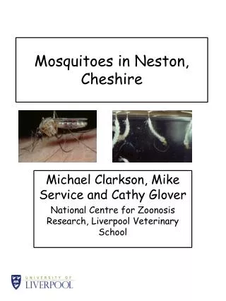 Mosquitoes in Neston, Cheshire
